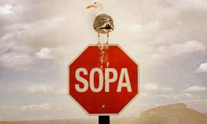 Аналитика от РАЭК SOPA & Protect-IP Act